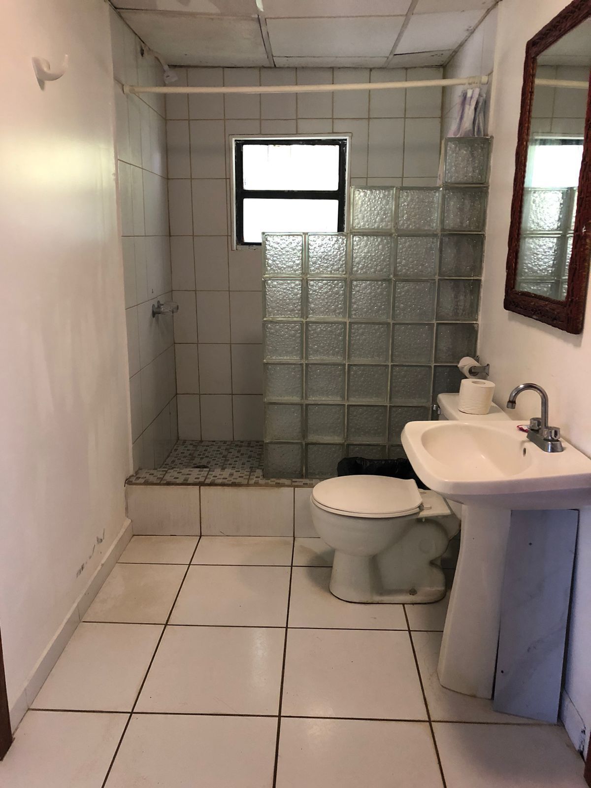 Un bagno piccolo con il water, lavandino e zona doccia.