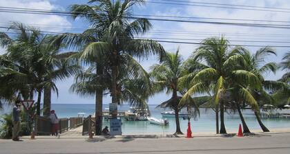 Coconut Tree West End