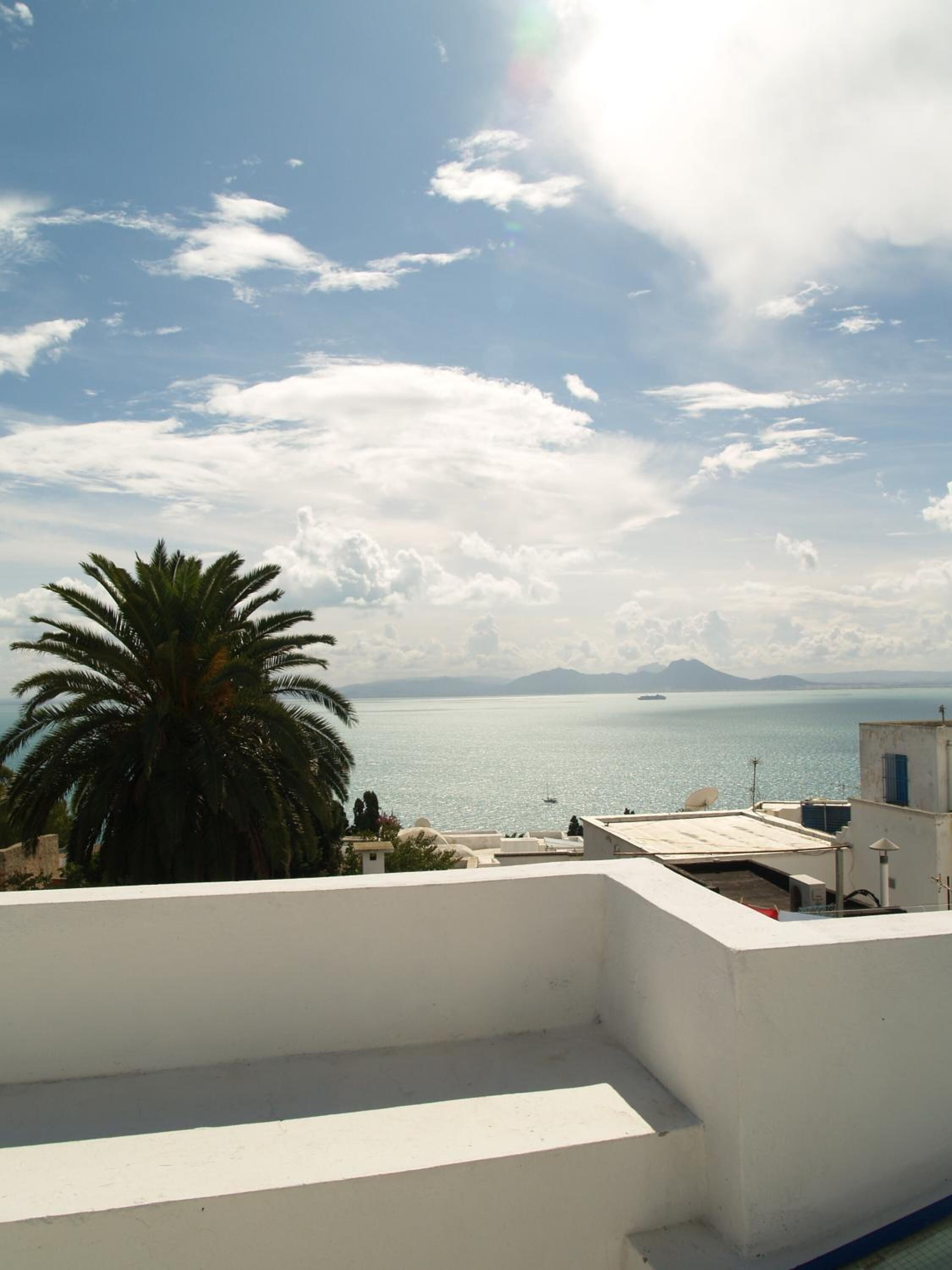 Vista costera con cielo despejado, una palmera y una cadena montañosa distante.