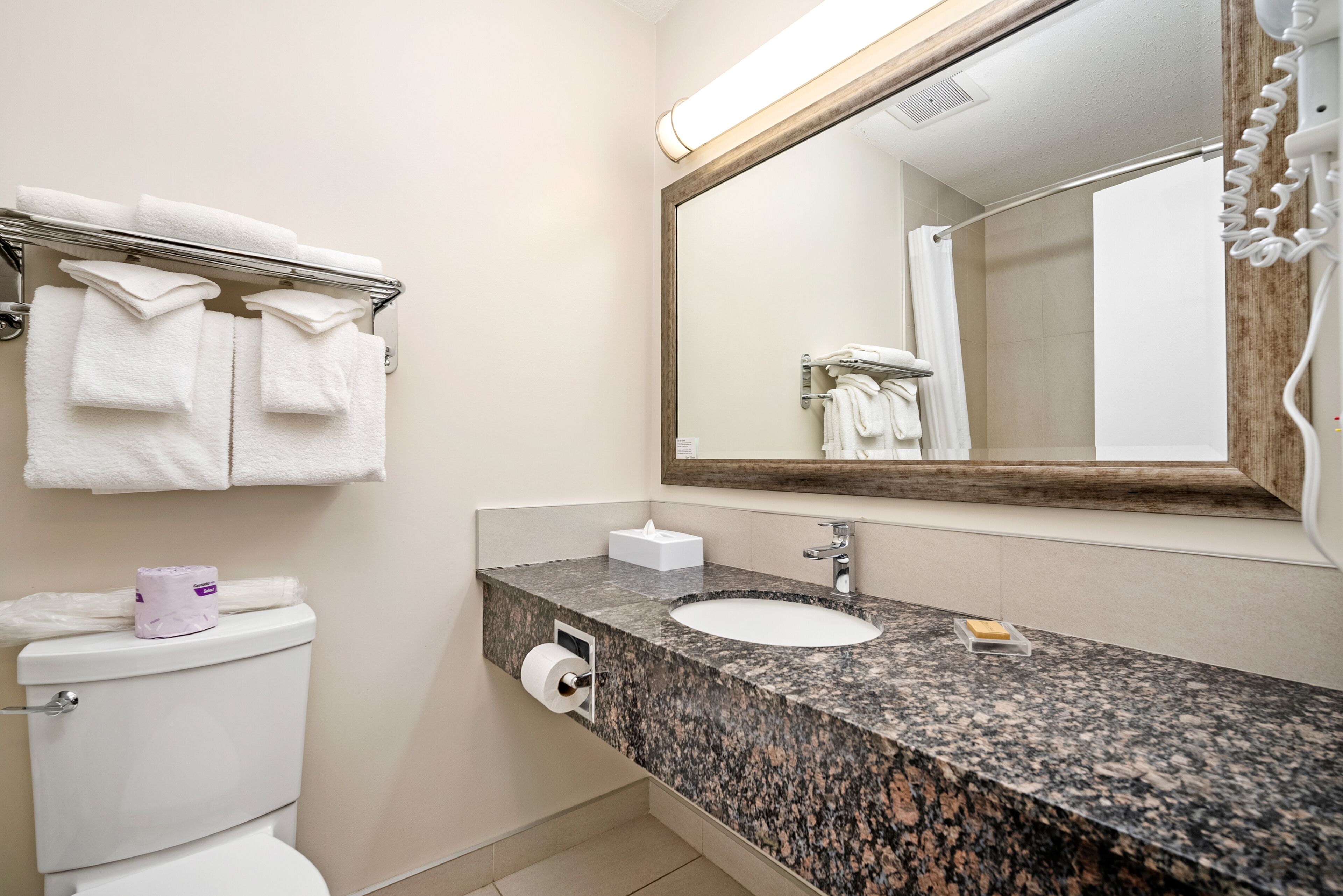 combined shower/bathtub, free toiletries, towels