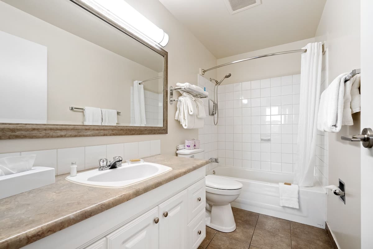 room | bathroom | combined shower/bathtub, free toiletries, towels