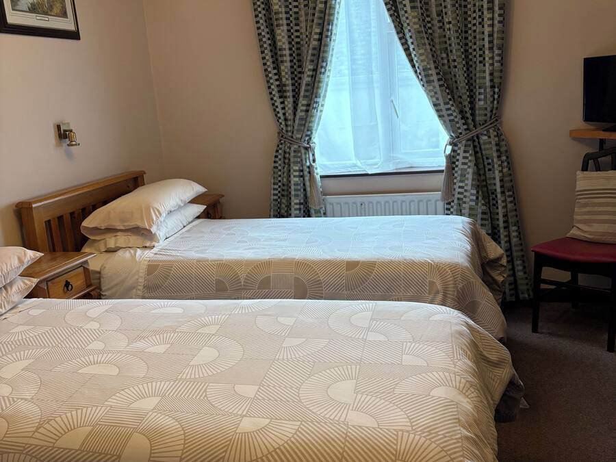Habitación de hotel con dos camas, una ventana con cortinas, una mesita de noche, un televisor y un cuadro colgado en la pared.