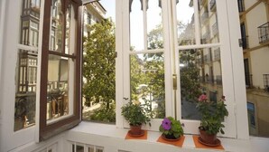 A bay window with three potted plants and a view of a tree and buildings. - Artea Narrika (San Sebastián)