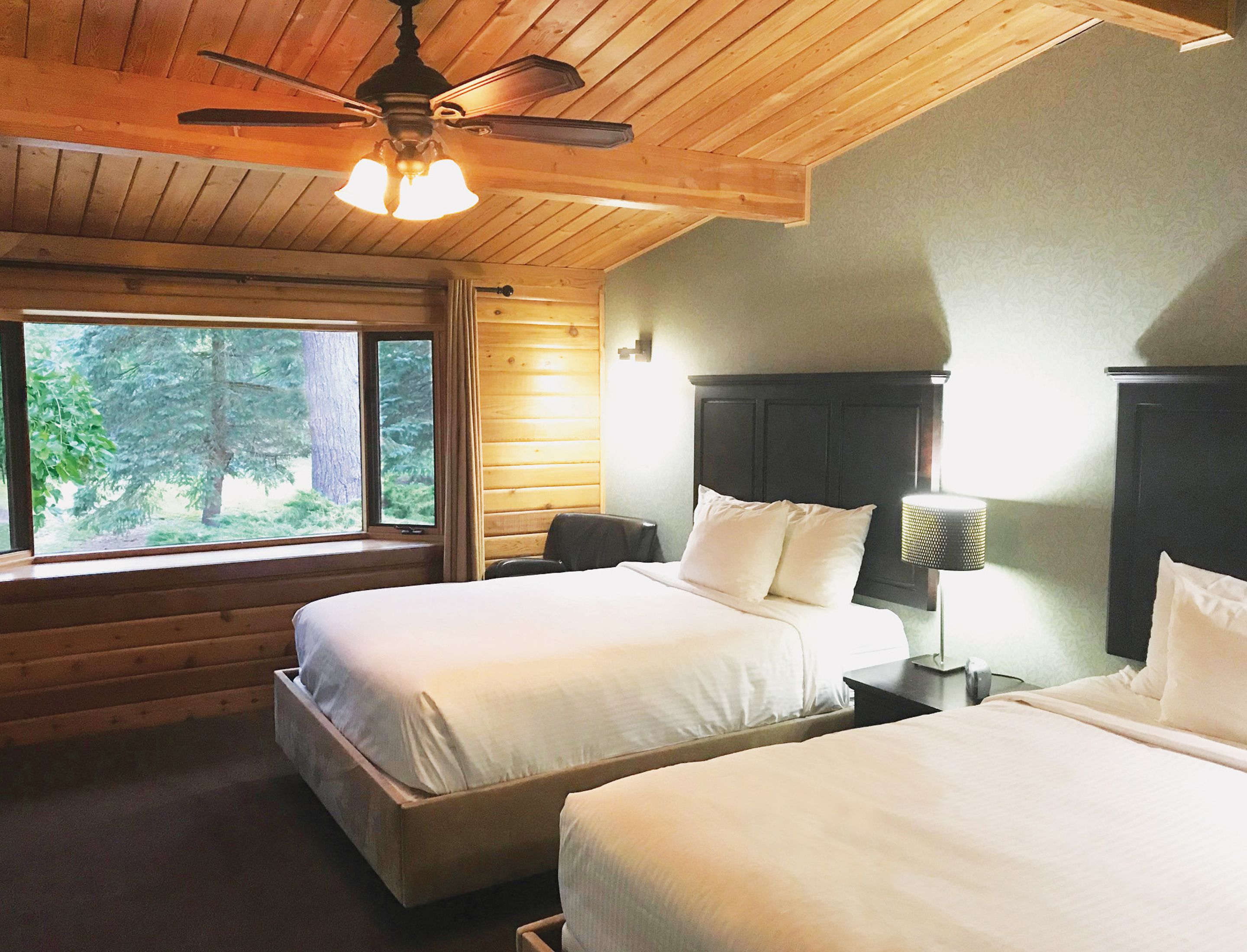 Une chambre avec deux lits, un ventilateur de plafond, une fenêtre donnant sur les arbres et une table de chevet avec une lampe.