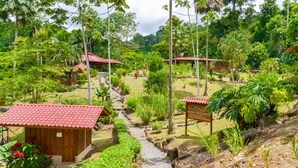 Front of property - Pacuare River Lodge (Siquirres)
