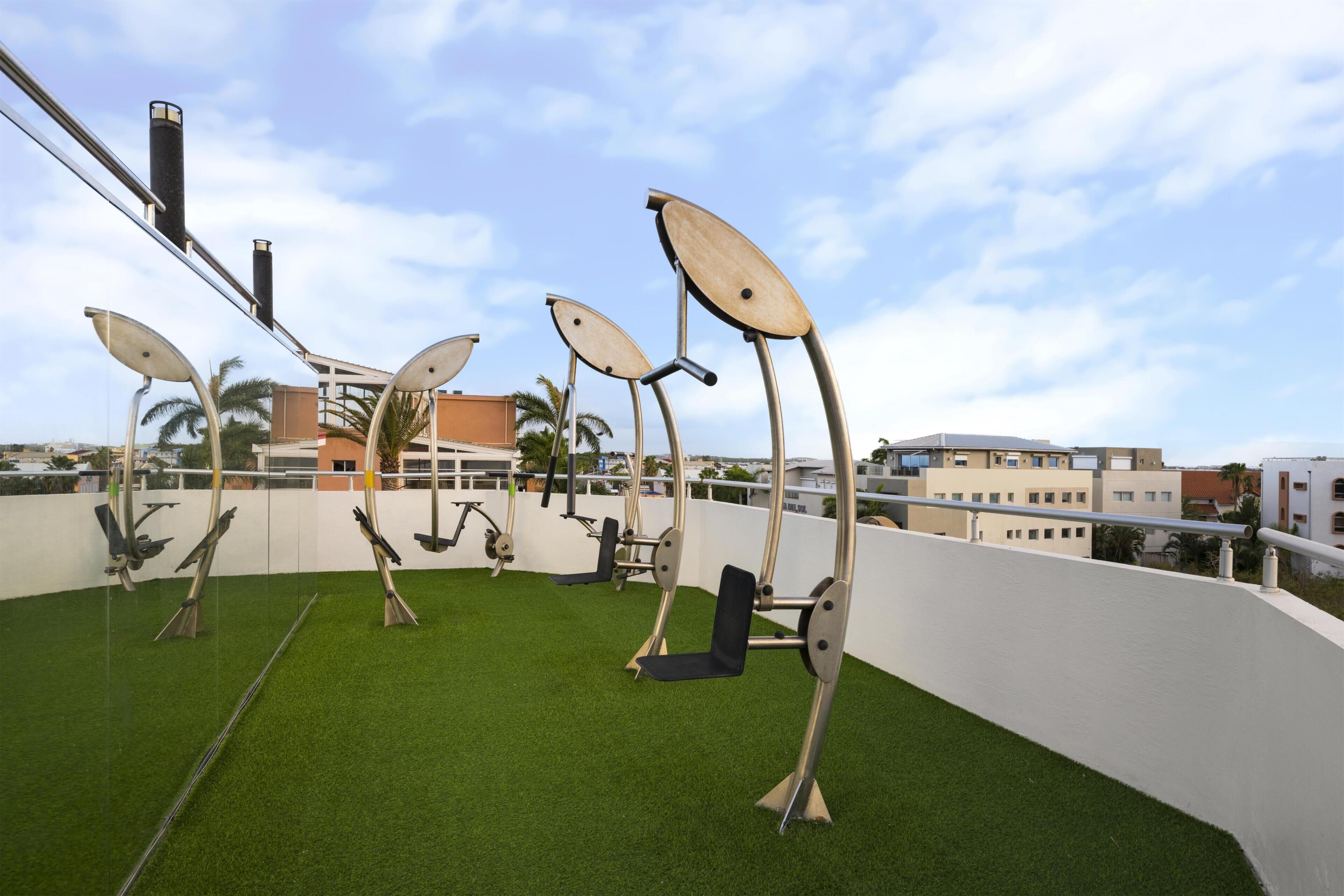 Un toit-terrasse équipé d’appareils de musculation, recouvert d’un gazon synthétique et offrant une vue sur un ciel dégagé.