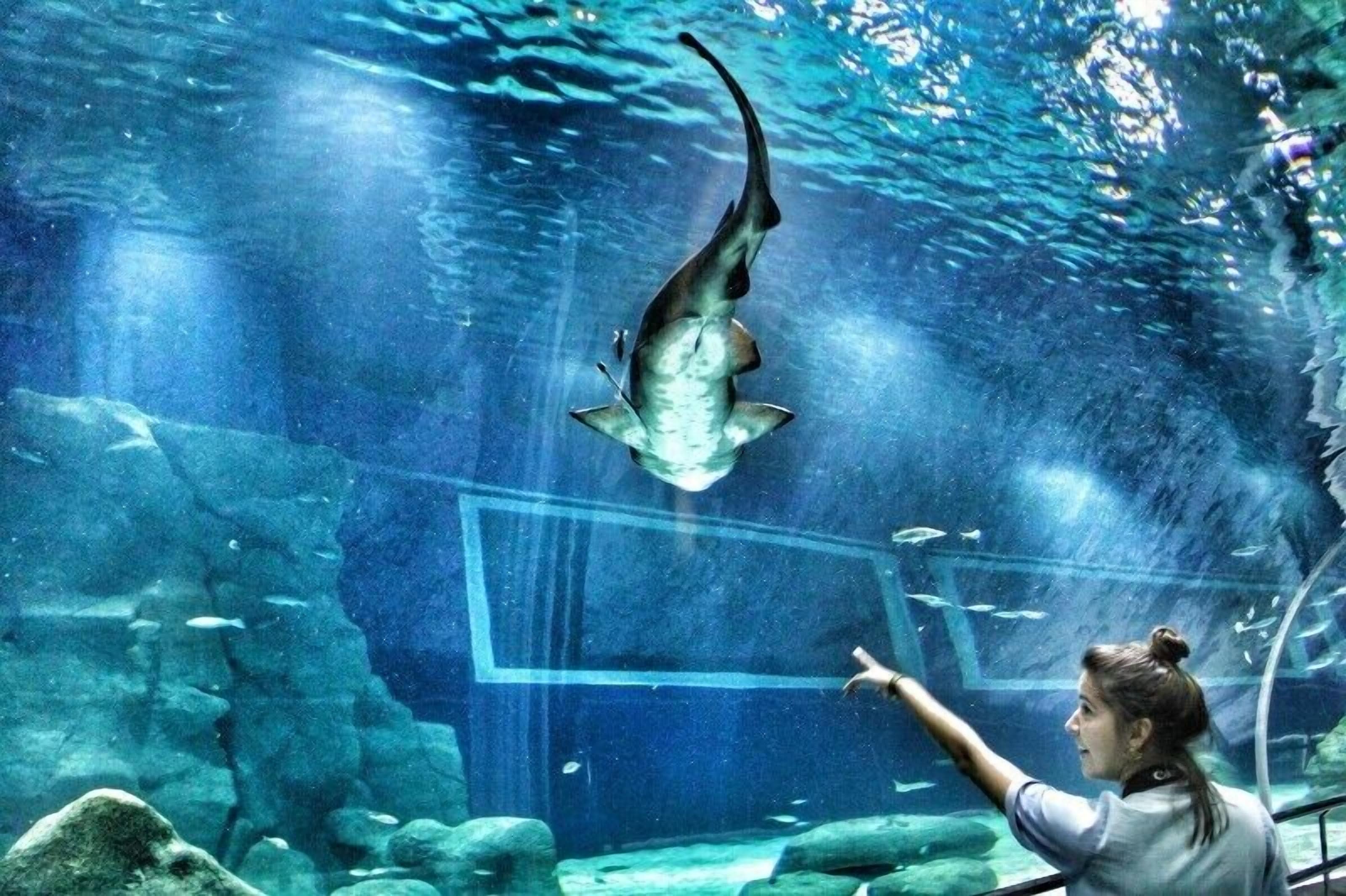 Photo - Hotel Plaza Riazor