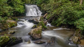 A waterfall surrounded by lush greenery and rocks. - The Owl's Perch (5 inch clearance needed) (Robbinsville)