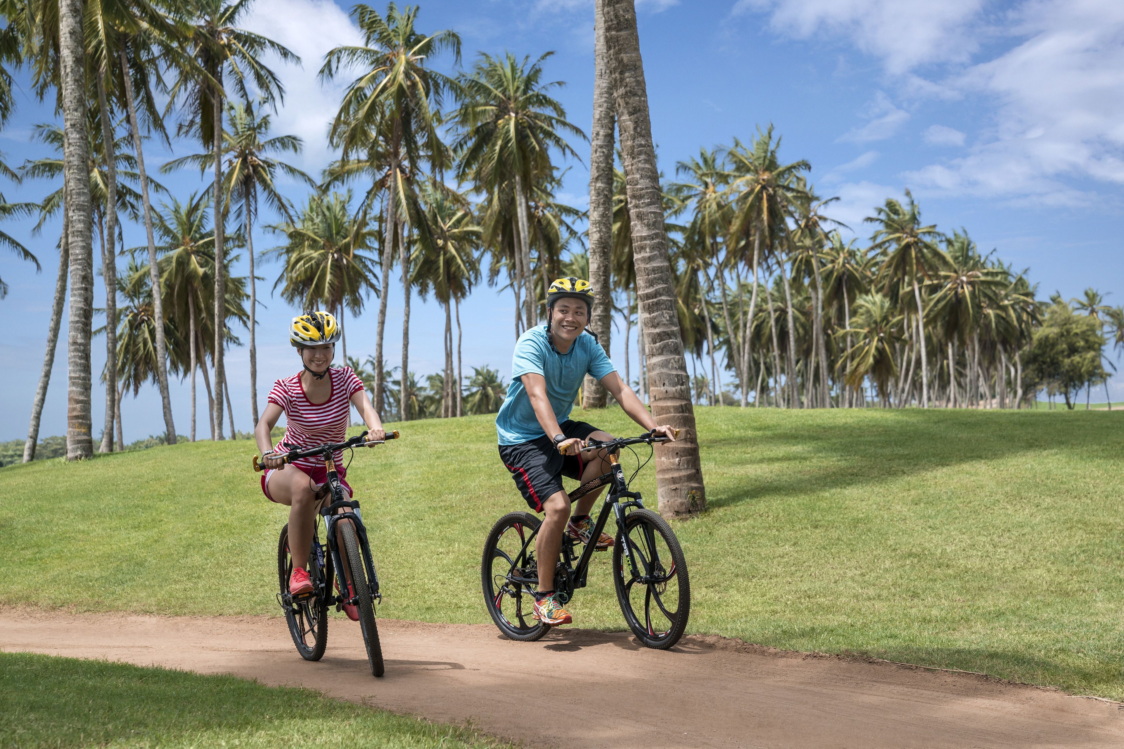 Two people riding bicycles on a path surrounded by palm trees.