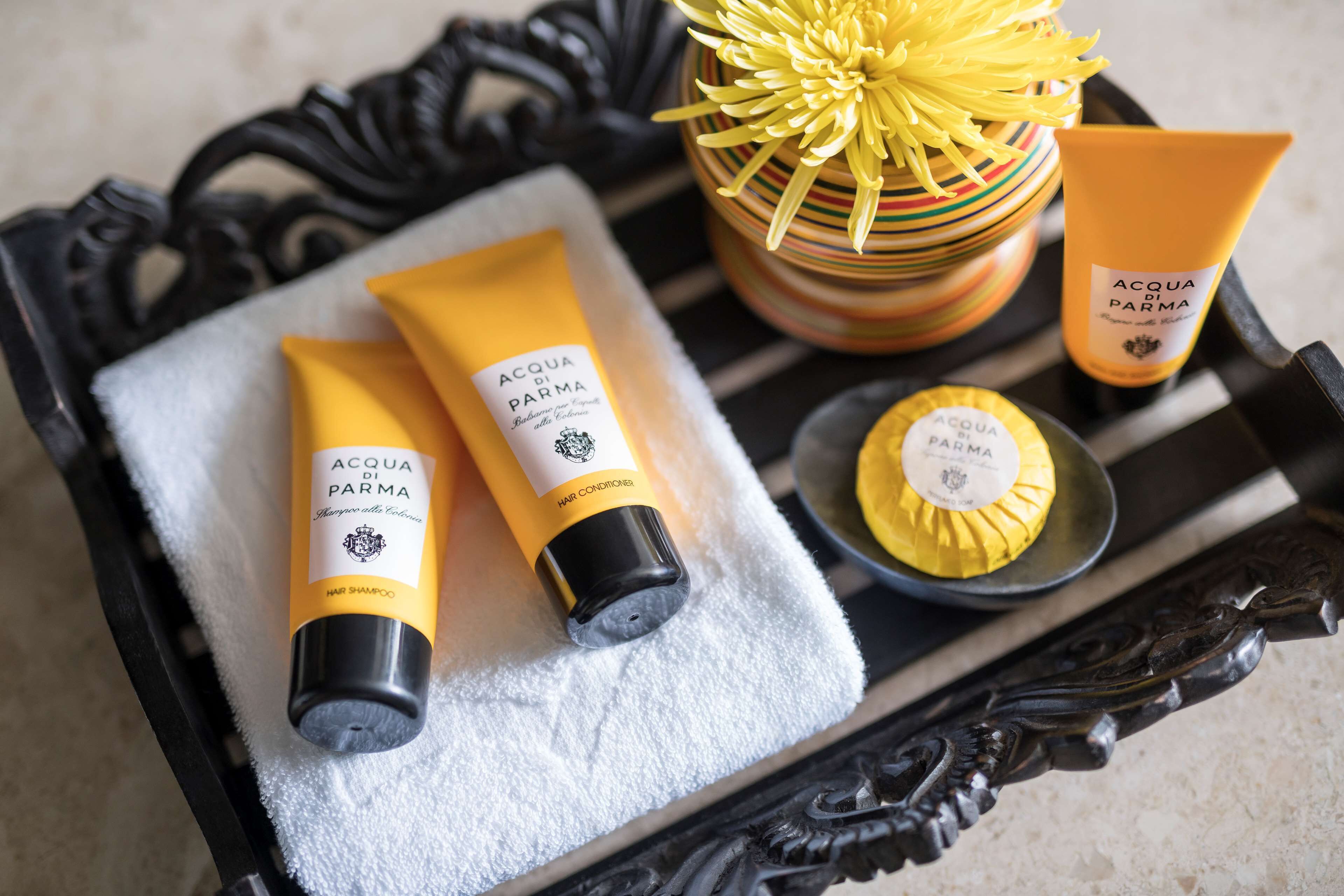 premier suite, 1 king bed (ocean) | 1 bedroom, premium bedding, minibar, in-room safe