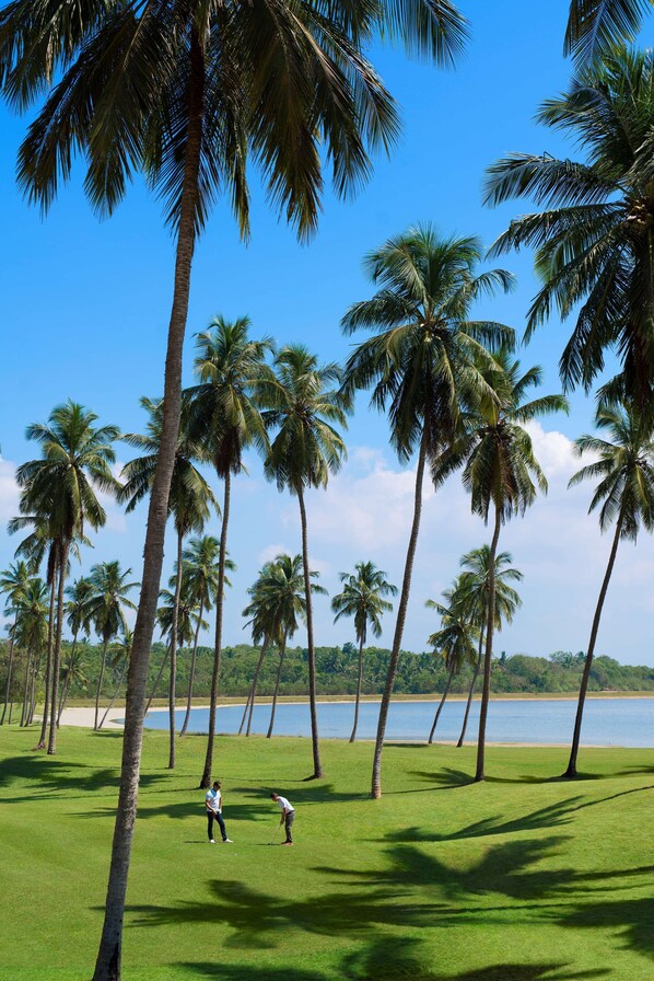 Campo de golf con palmeras y vistas al agua.