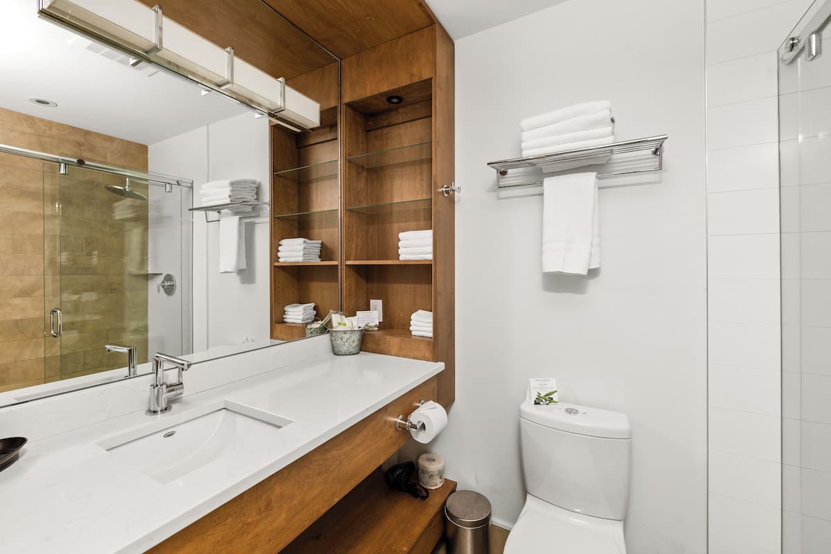 free toiletries, hair dryer, towels