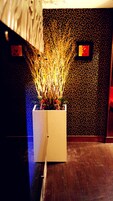 A potted plant with branches in a white planter against a dark patterned wall.