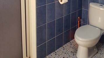 A bathroom with a toilet, blue tiled walls, and a patterned floor.