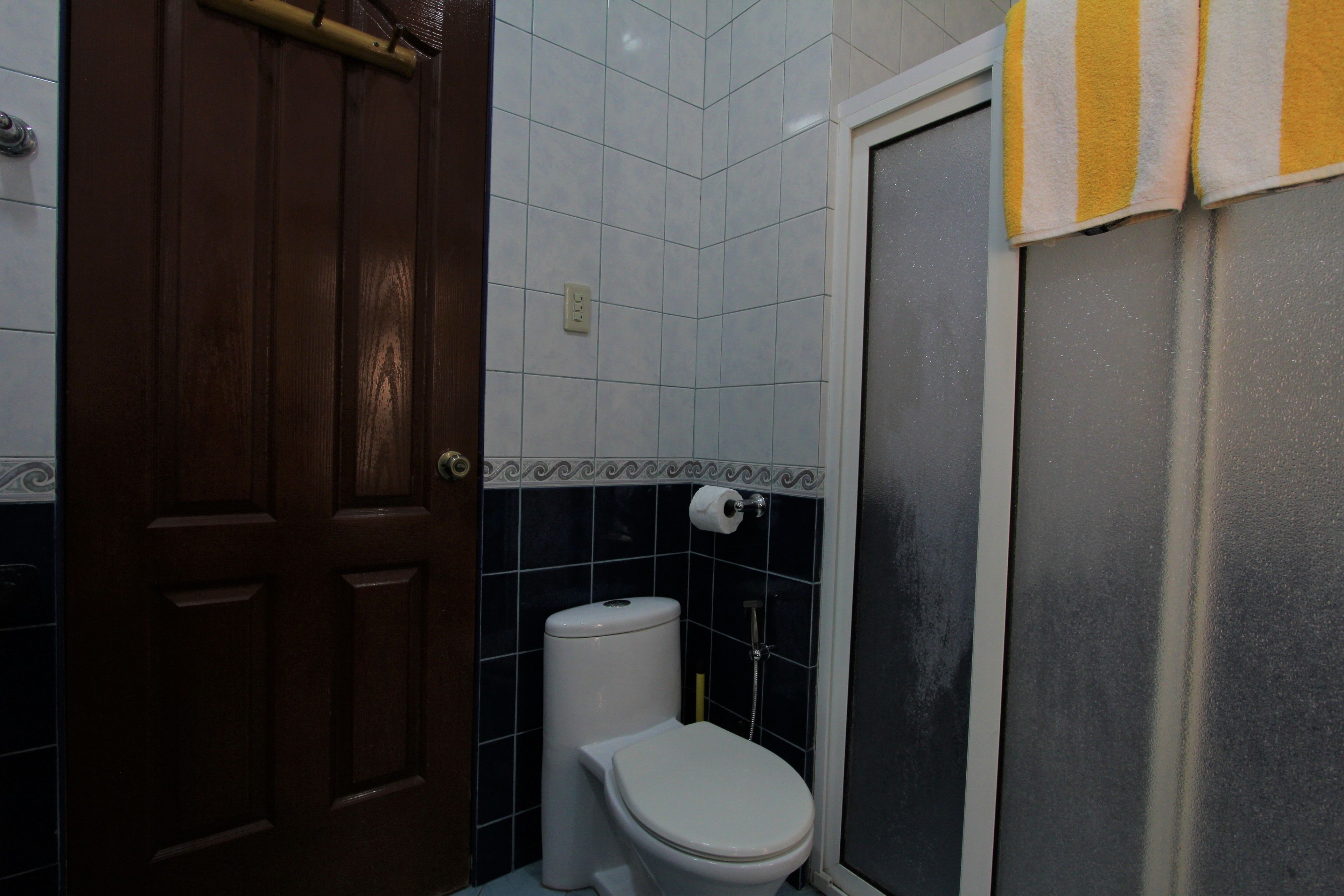 Une salle de bain comprenant des toilettes, un porte-serviettes et un espace douche.