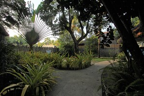 Vista para o jardim