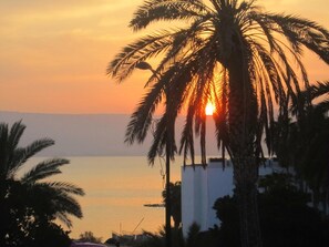 Un atardecer con palmeras siluetas contra el cielo.