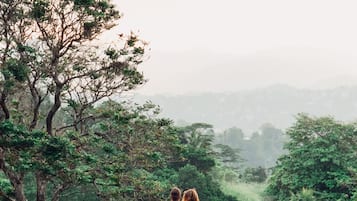 Vista al paisaje