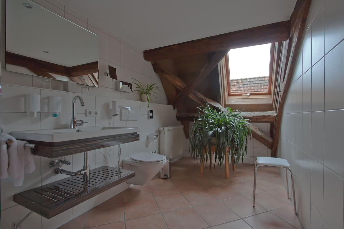 shower, free toiletries, hair dryer, towels