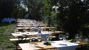 An outdoor dining area with multiple wooden tables set with wine glasses and plates, surrounded by trees. - Landhaus Zum Falken (Adelshofen)