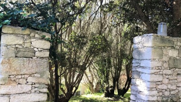 A stone pathway leading through a wooded area with a stone wall on one side.