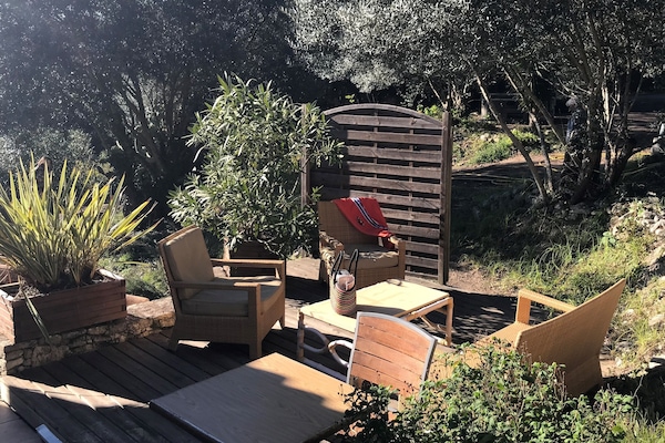 Estudio (Terrace) | Terraza o patio