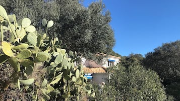 Bagian depan properti