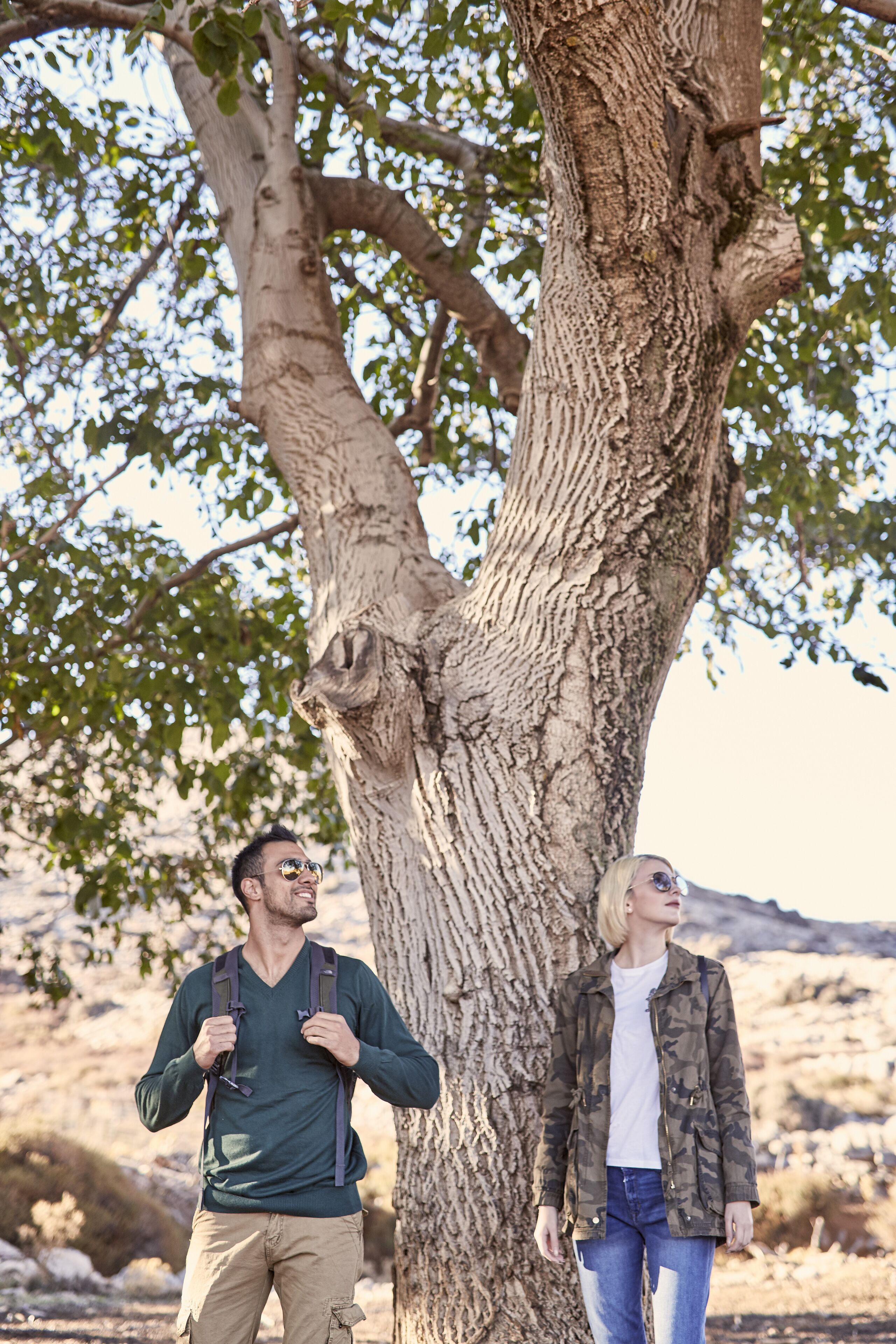 Photo - Olive Green Hotel