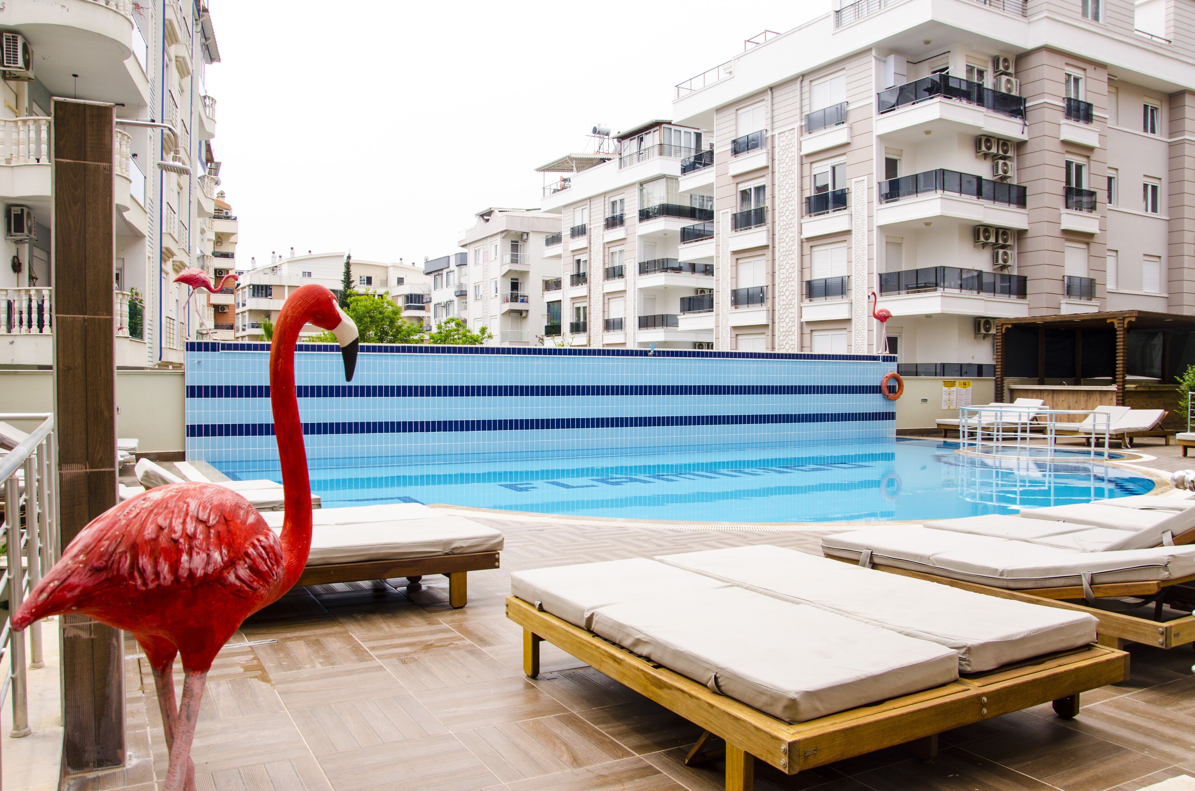A swimming pool with lounge chairs and a flamingo statue.