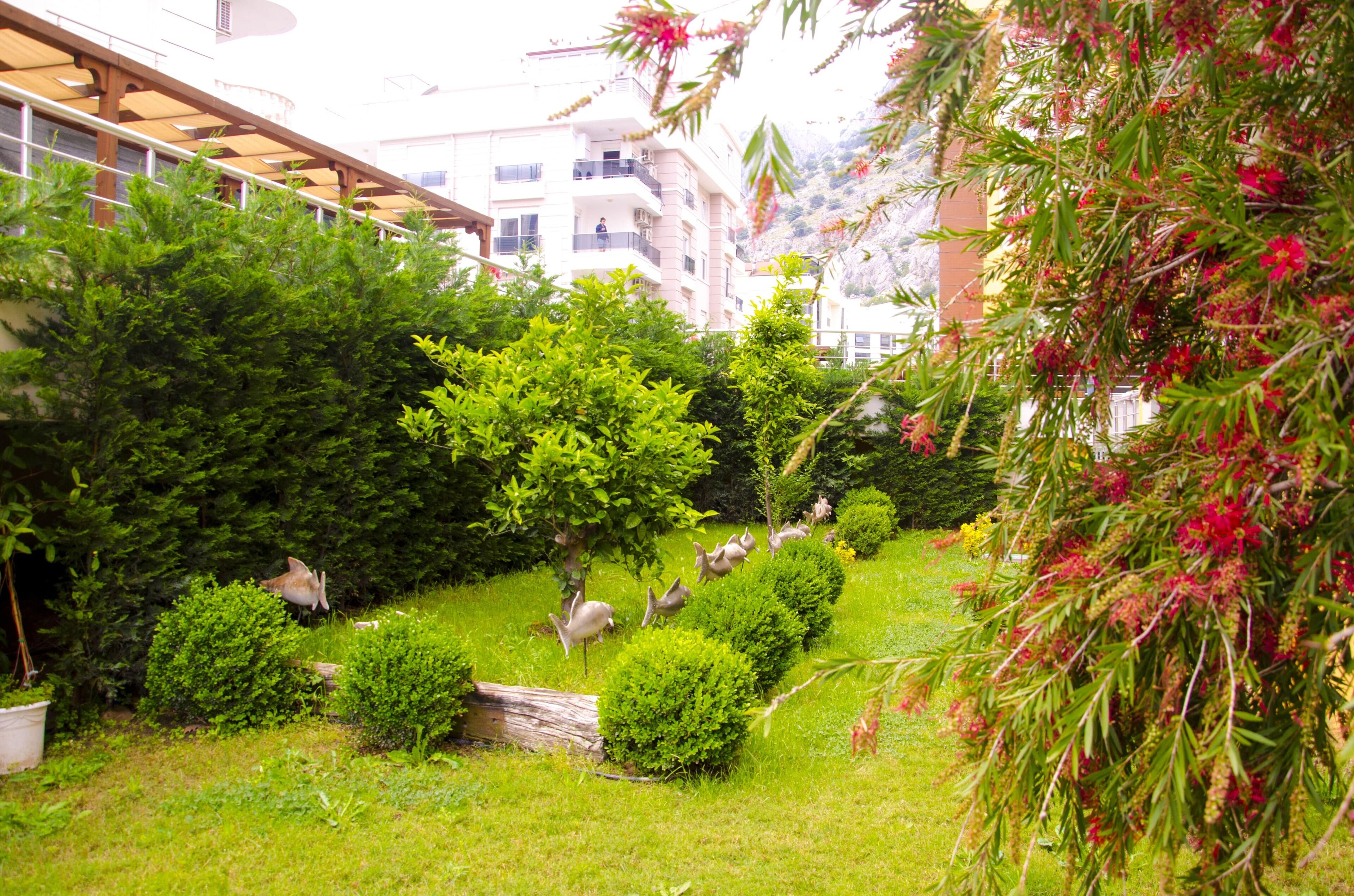 Foto - Flamingo Residence