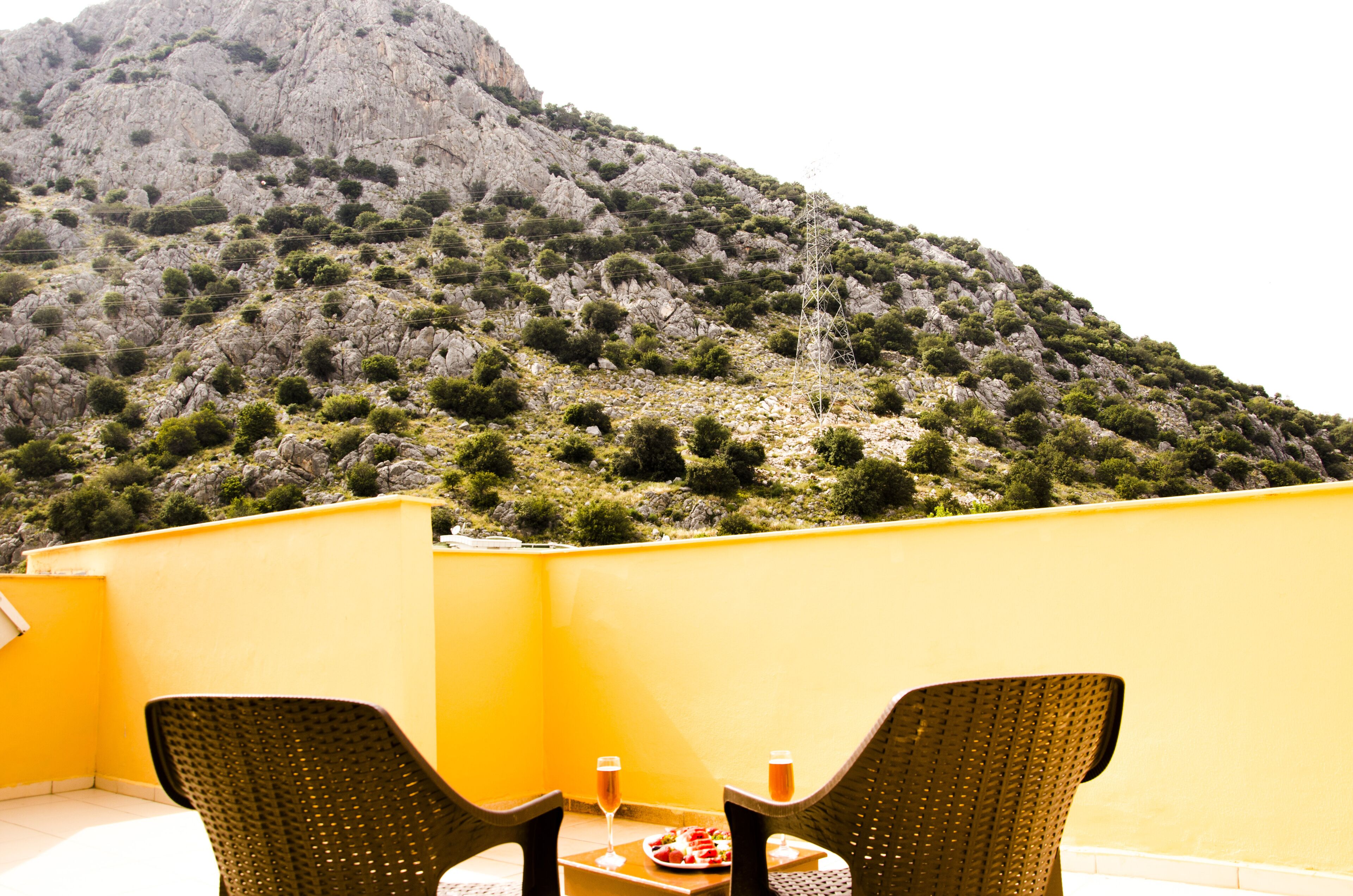 Foto - Flamingo Residence