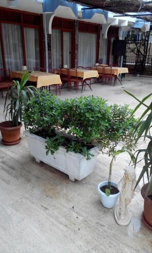 بوفيه فطور مجانًا يوميًا