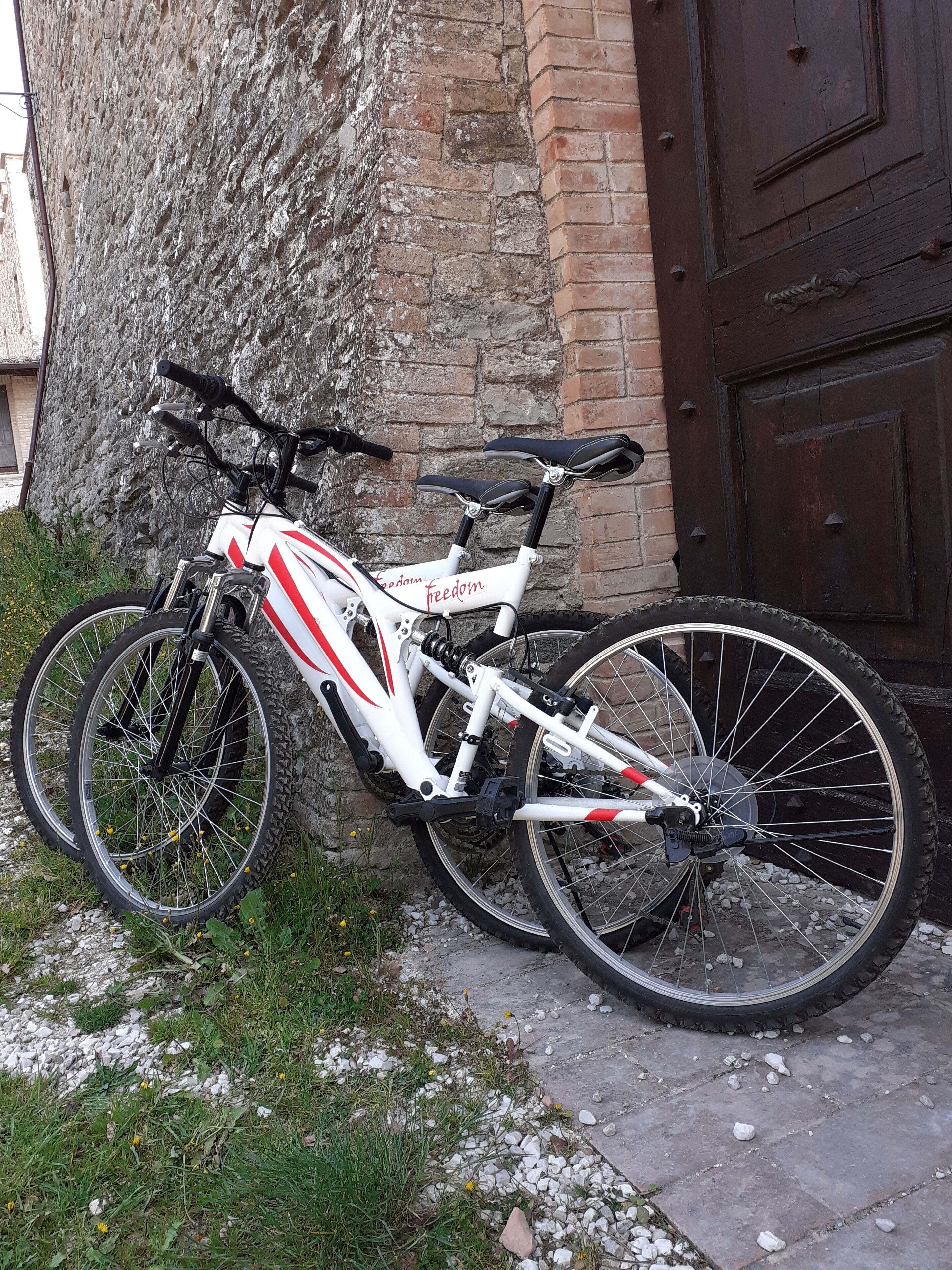 Un vélo blanc avec des détails rouges est garé contre un mur de briques, à côté d’une porte en bois.