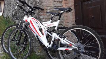 Un vélo blanc avec des détails rouges est garé contre un mur de briques, à côté d’une porte en bois.