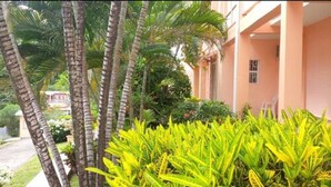 Un edificio de fachada rosa, rodeado de exuberante vegetación, incluyendo palmeras y plantas amarillas.