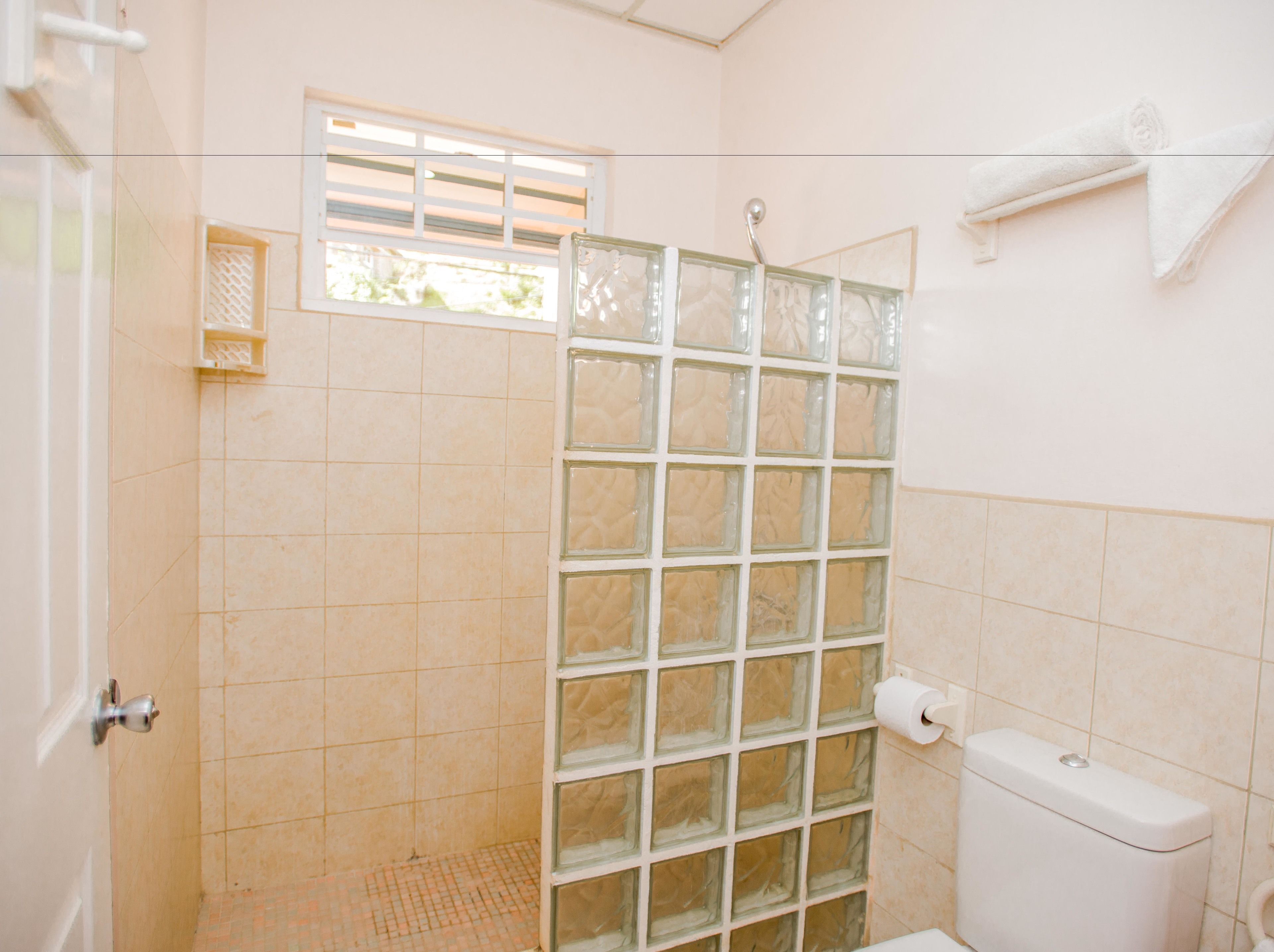 A bathroom with a glass shower enclosure, a toilet, and a towel rack.