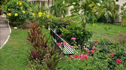 Bougainvillea Apartments