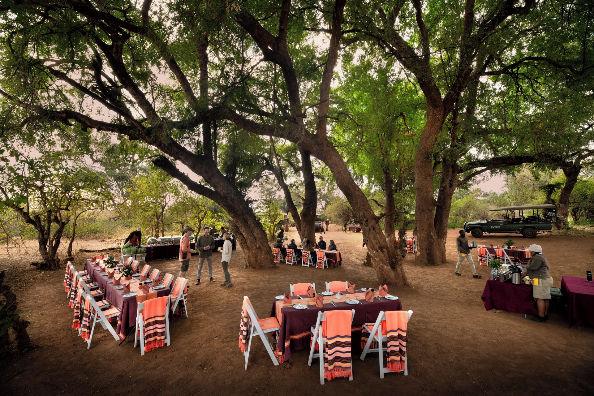 Un espace extérieur aménagé pour les repas, avec des tables et des chaises placées sous de grands arbres.