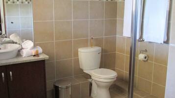 Ein Badezimmer mit Toilette, Waschbecken und Spiegel. Ein Mülleimer und eine Duschkabine sind ebenfalls vorhanden.