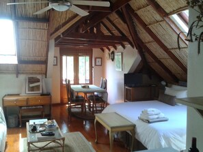 Habitació, vistes a la muntanya | Minibar, escriptori i wifi gratuïta 