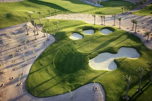 A golf course with sand bunkers, palm trees, and a clear sky.
