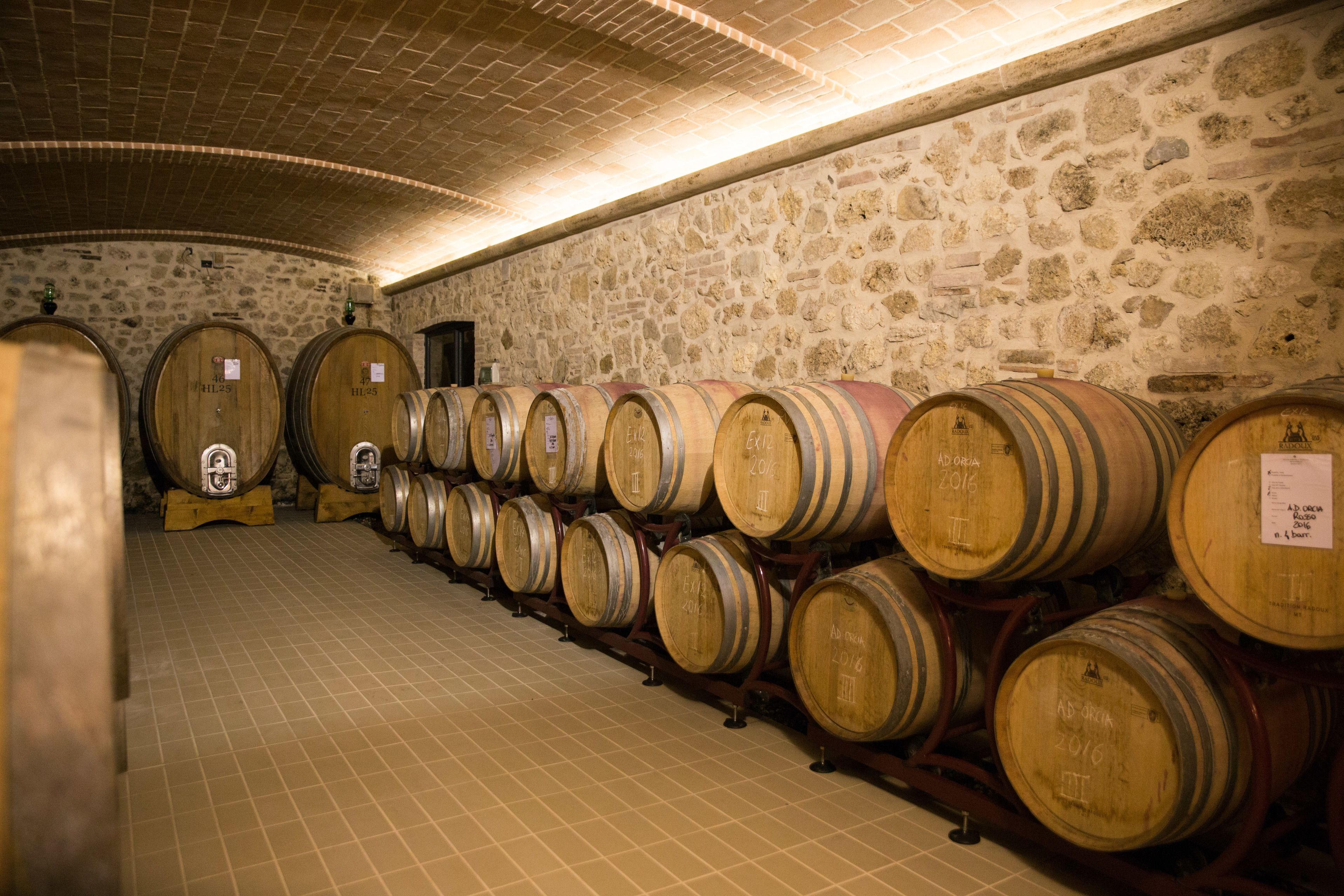 Una bodega con hileras de barriles de madera frente a una pared de piedra.