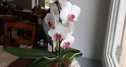 HÎtel Les Cévennes