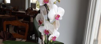 Hôtel Les Cévennes