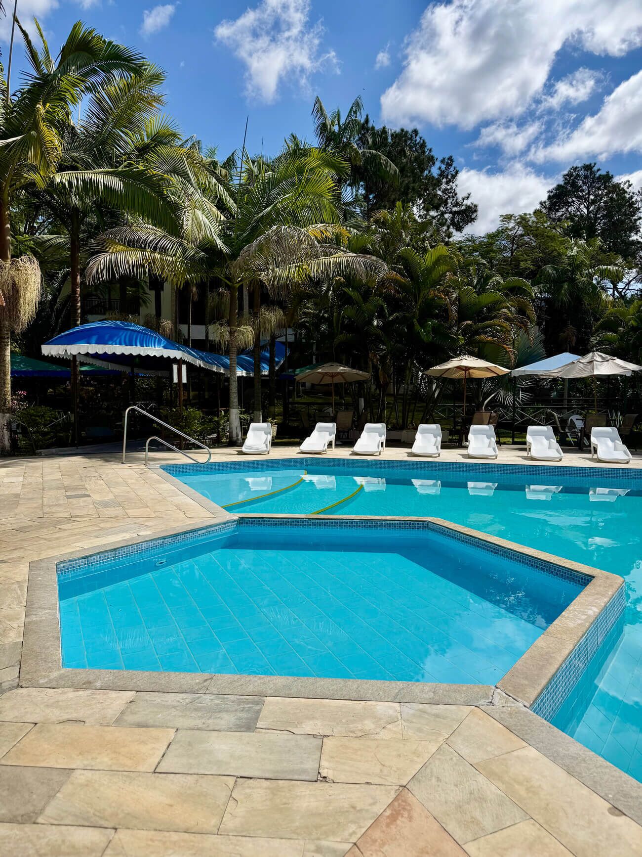 Una piscina con sillones de descanso y sombrillas, rodeada de palmeras y un cielo despejado.