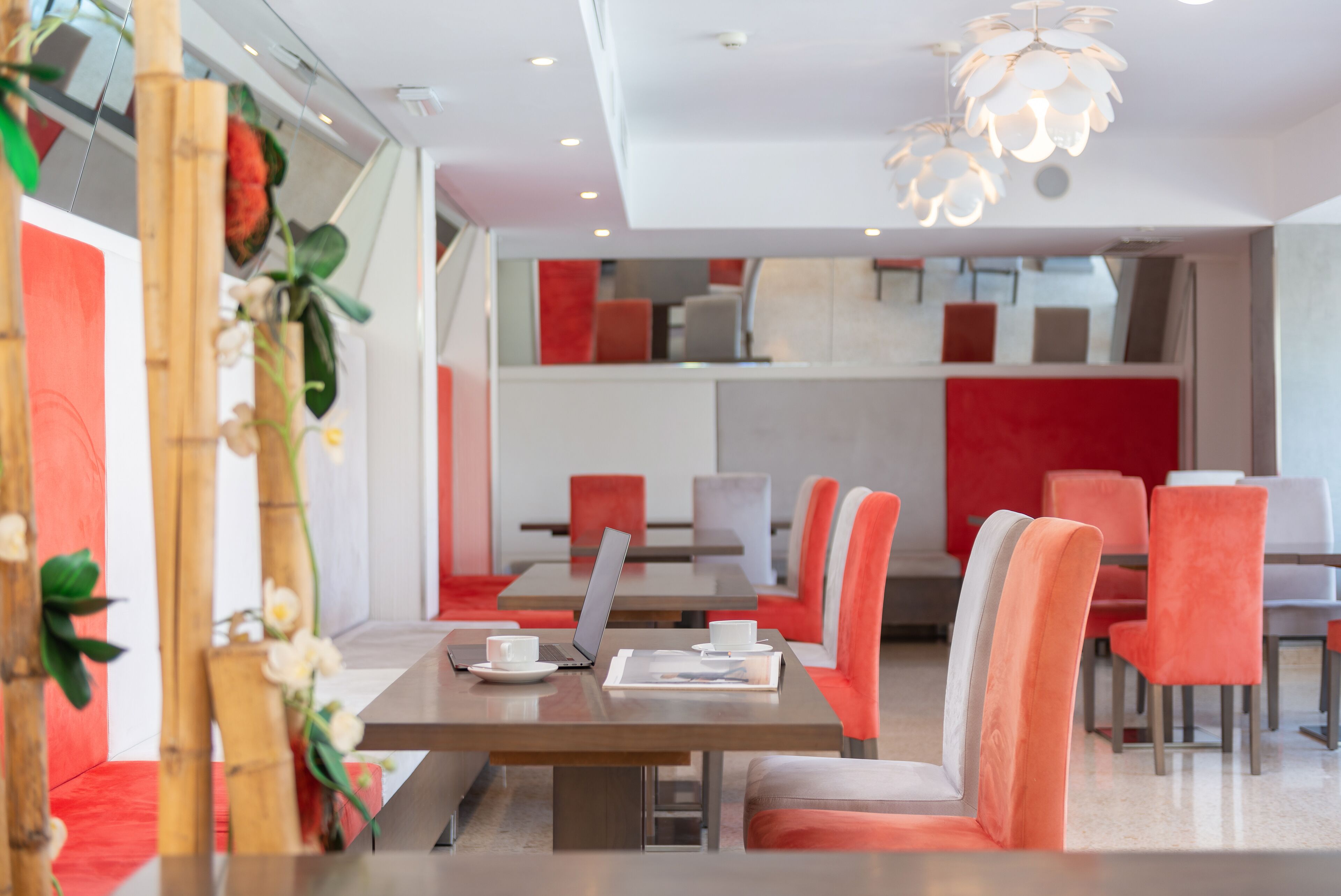 Un'area pranzo moderna con sedie rosse e bianche, un tavolo con un portatile e una pianta decorativa.