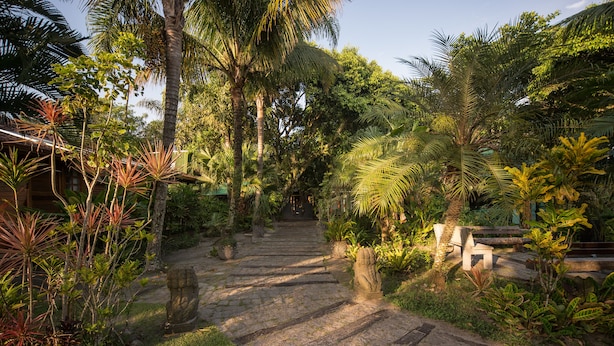 A stone pathway leading through a lush garden with palm trees and tropical plants. - Pousada Treze Luas (Paranaguá)