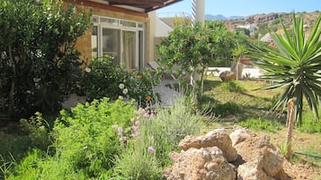 Taman