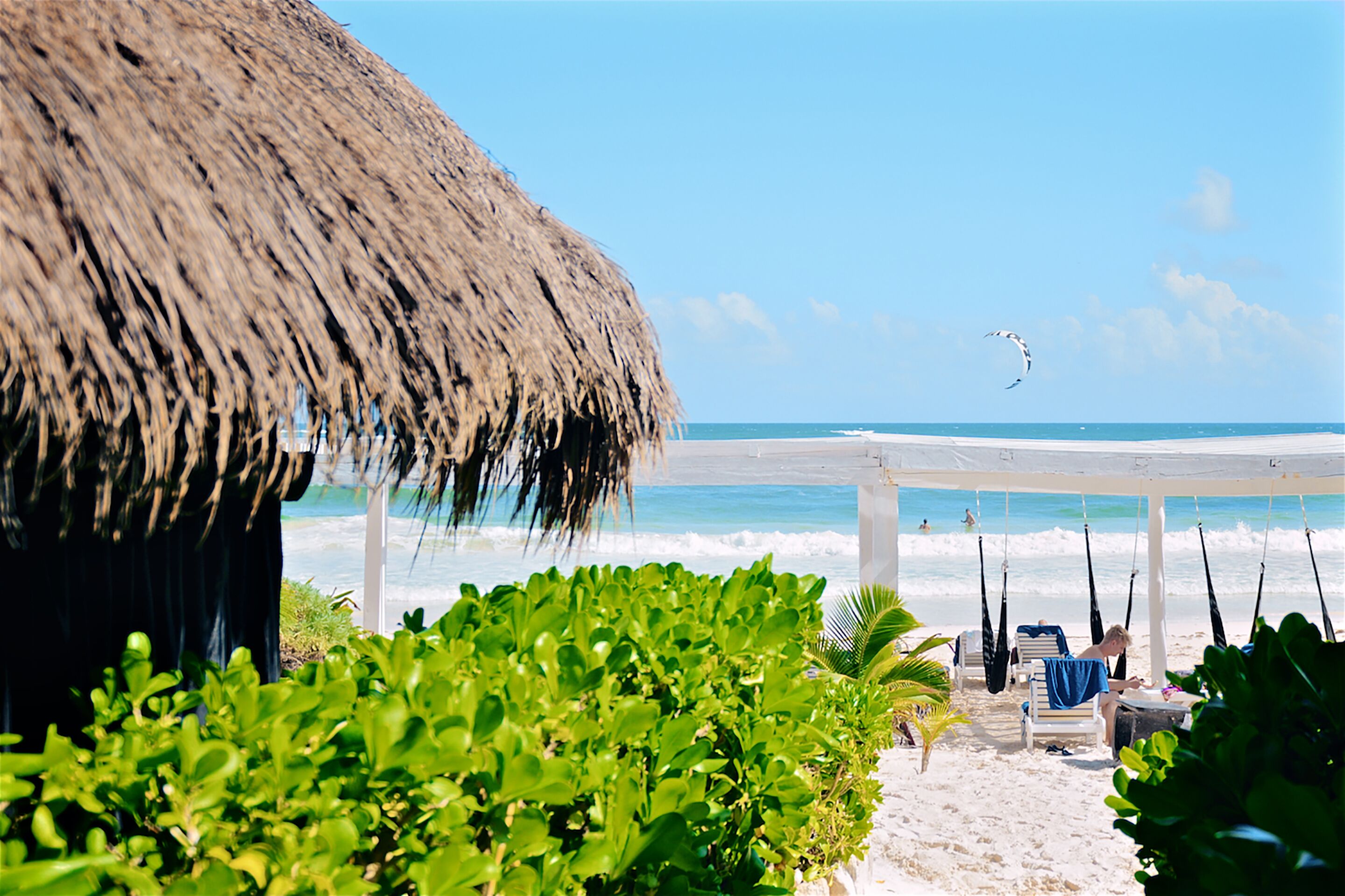 ocean view room beach zone | beach/ocean view