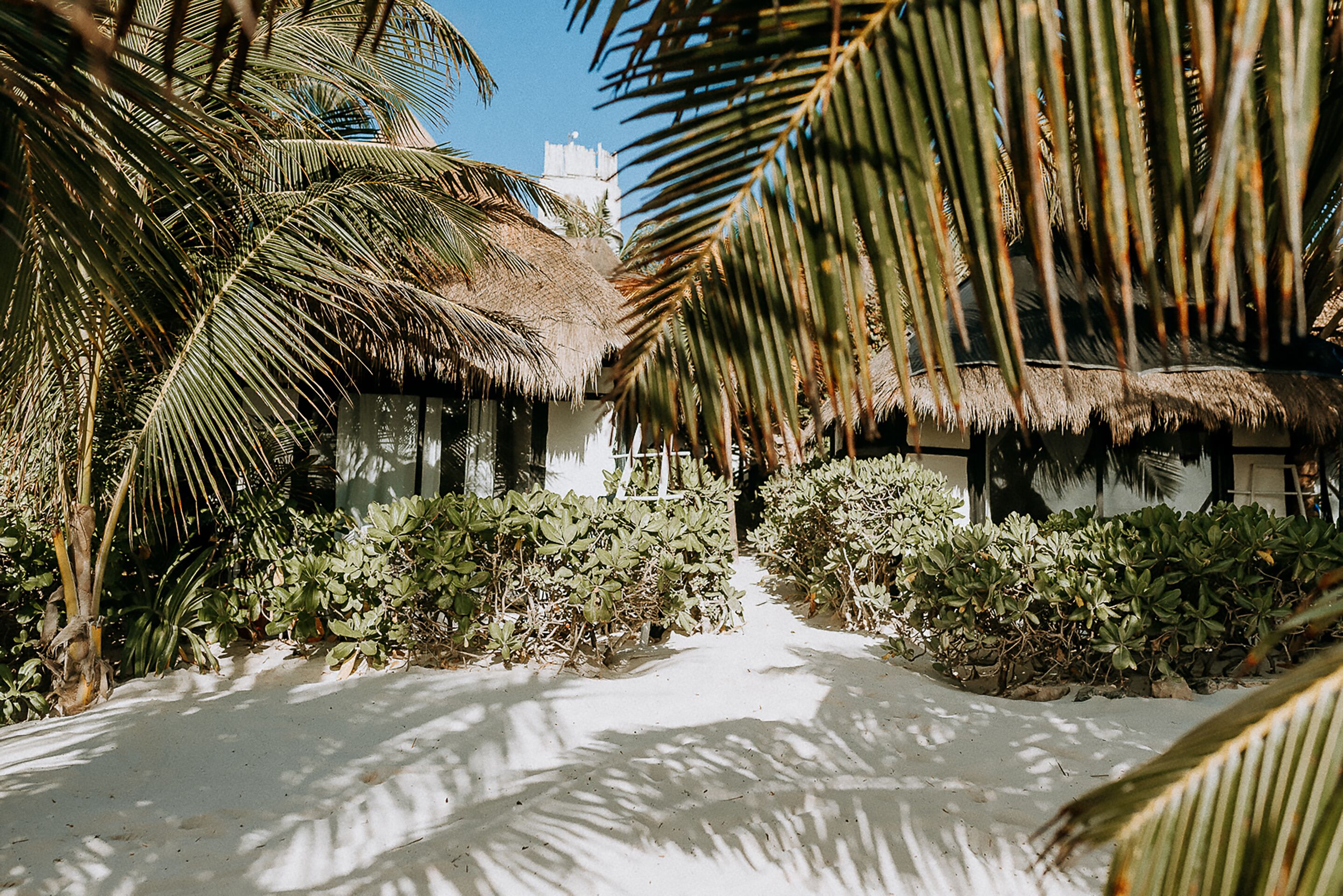 ocean view room beach zone | in-room safe, bed sheets